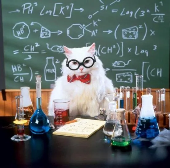 Chemistry Cat meme showing a white cat in round glasses and a red bow tie in a laboratory.