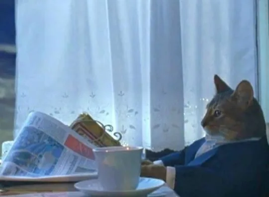 Cat Newspaper meme showing a cat in a blue jacket reading at a breakfast table.