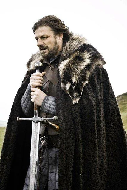 Brace Yourself meme reference showing Ned Stark in a fur cloak with a resting sword.