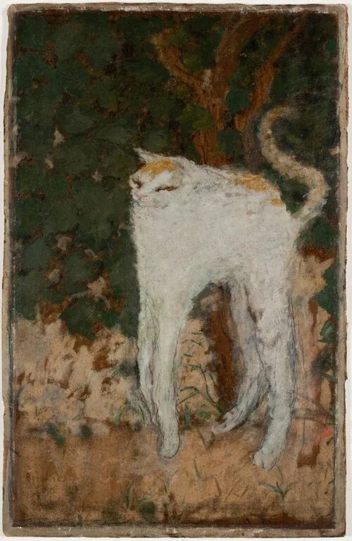 A white cat arches its back above unusually long legs in Bonnard's painting, with dark foliage behind it.