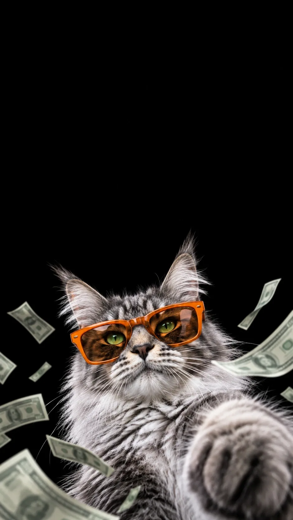 Orange sunglasses, a confident low-angle selfie, and drifting novelty banknotes. of the same silver tabby maine coon