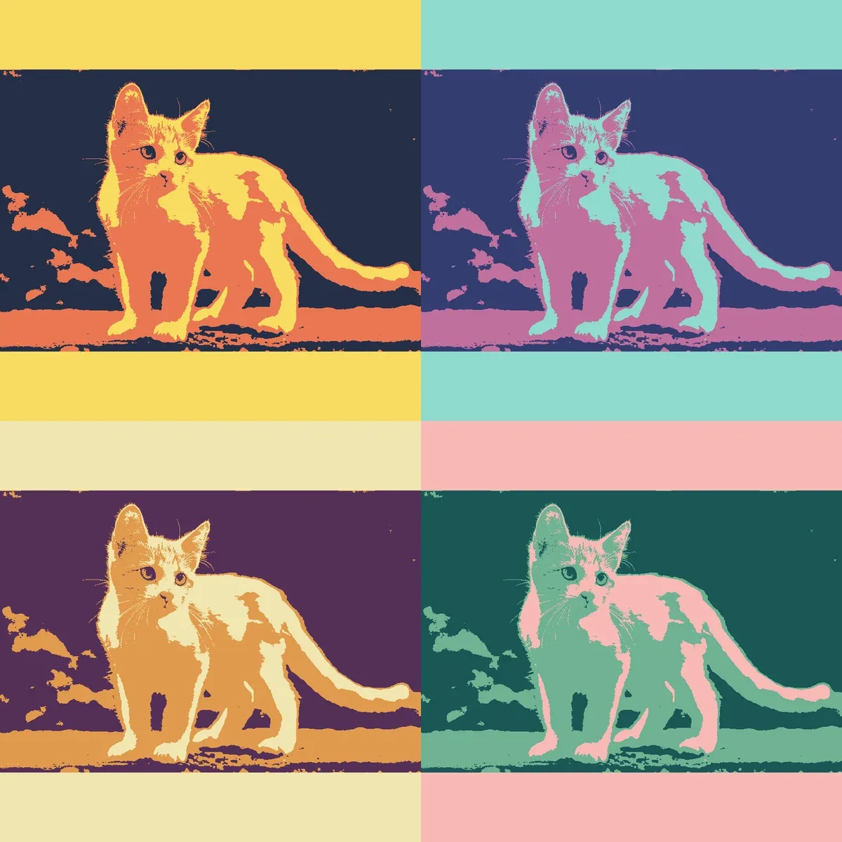 A four-panel cat image exported from the local color lab.