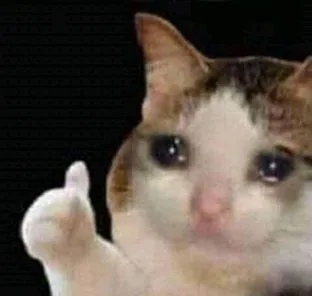 Sad Thumbs Up Cat meme showing a watery-eyed cat beside an added thumbs-up hand.